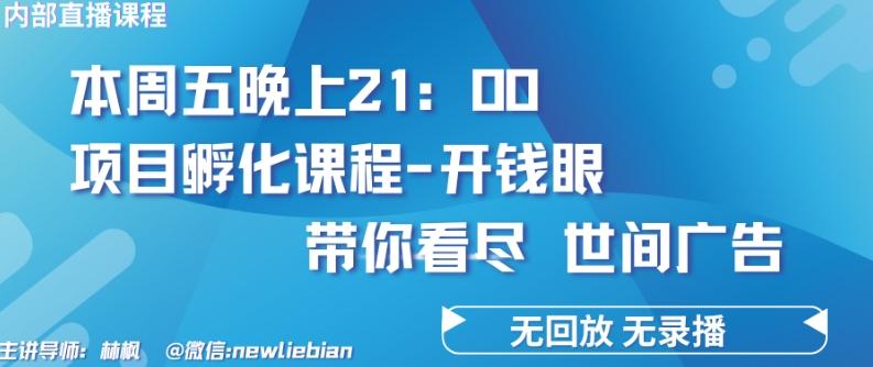 4.26日内部回放课程《项目孵化-开钱眼》赚钱的底层逻辑【揭秘】-金腾创业