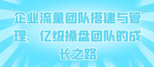 企业流量团队搭建与管理，亿级操盘团队的成长之路-金腾创业