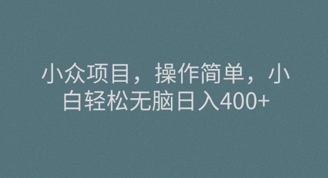 小众项目，操作简单，小白轻松无脑日入400+-金腾创业