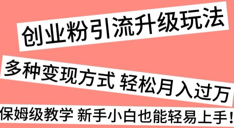 创业粉引流升级玩法，多种变现方式轻松月入过万，保姆级教学新手小白也能轻易上手！-金腾创业