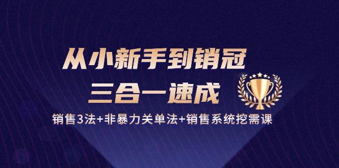 从小新手到销冠 三合一速成：销售3法+非暴力关单法+销售系统挖需课 (27节-金腾创业
