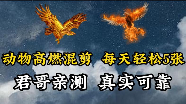 动物超燃混剪，每天轻松5张，剪辑简单大家爱看【揭秘】-金腾创业
