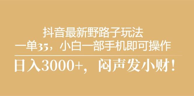 抖音最新野路子玩法，一单35，小白一部手机即可操作，，日入3000+，闷…-金腾创业