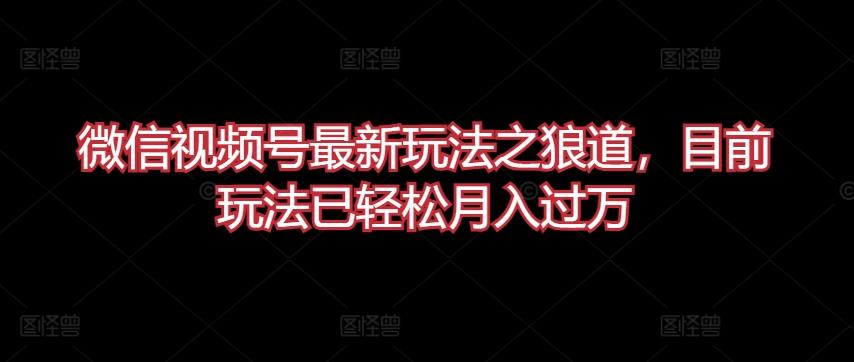微信视频号最新玩法之狼道，目前玩法已轻松月入过万【揭秘】-金腾创业